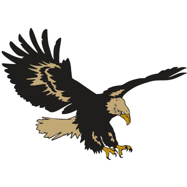 AR EAGLE 47 RC Thumbnail